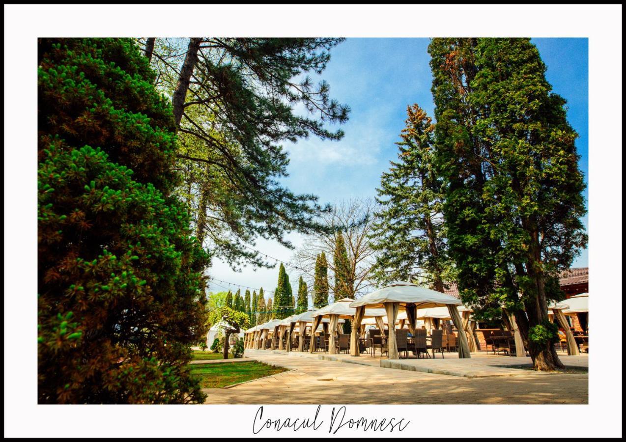 Conacul Domnesc 3*