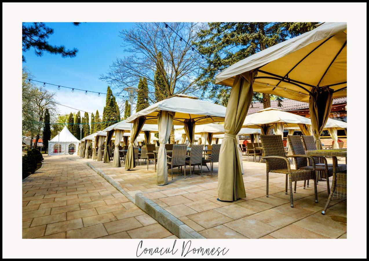 Conacul Domnesc Hotel Scheia