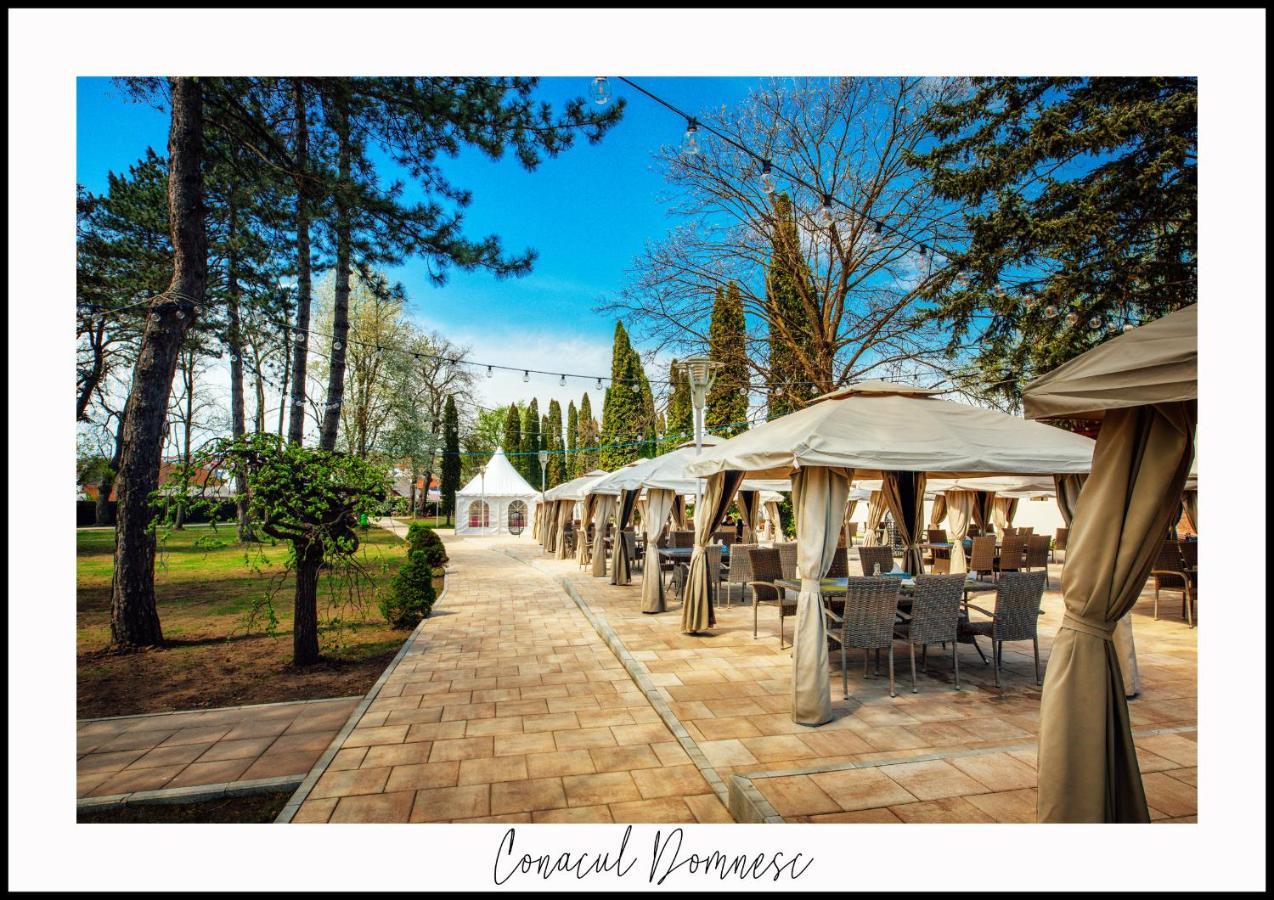 Conacul Domnesc Hotel Scheia