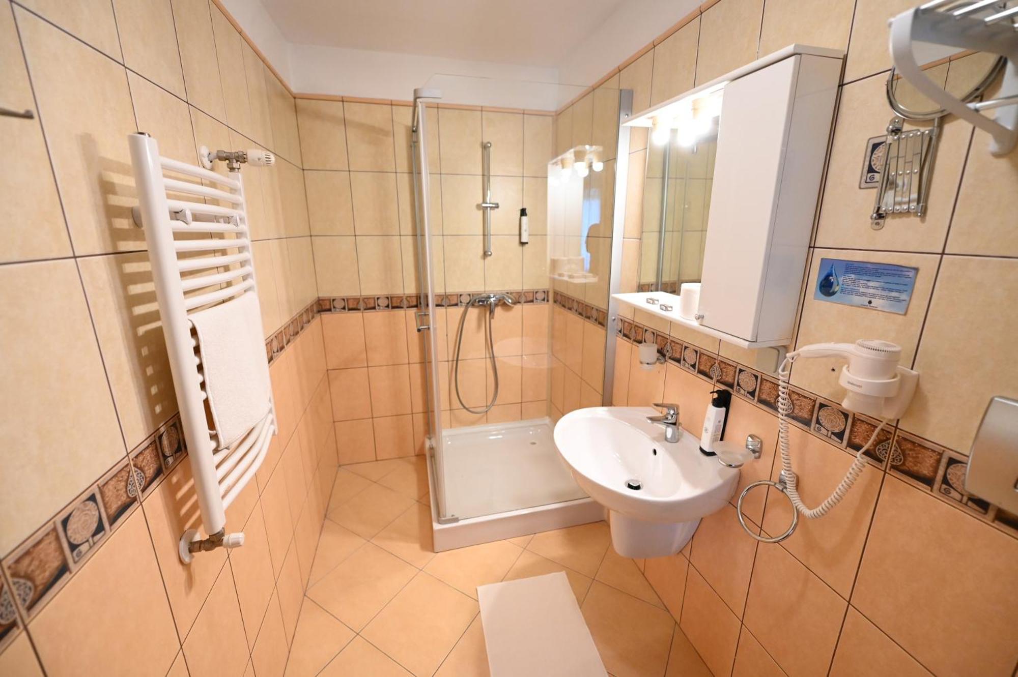 Conacul Domnesc 3* Scheia