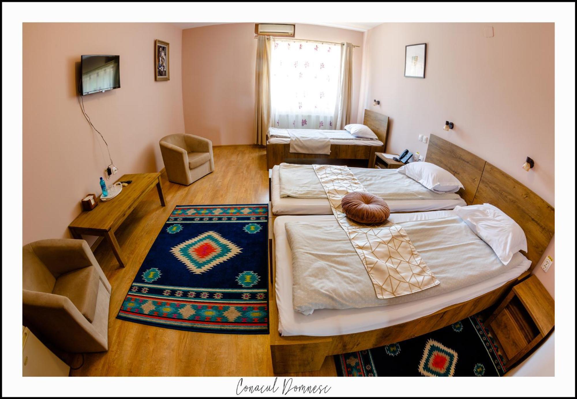 Conacul Domnesc 3*